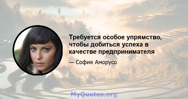 Требуется особое упрямство, чтобы добиться успеха в качестве предпринимателя