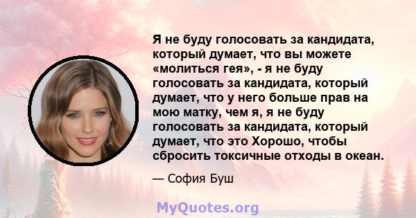 Я не буду голосовать за кандидата, который думает, что вы можете «молиться гея», - я не буду голосовать за кандидата, который думает, что у него больше прав на мою матку, чем я, я не буду голосовать за кандидата,