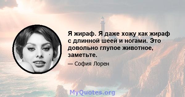 Я жираф. Я даже хожу как жираф с длинной шеей и ногами. Это довольно глупое животное, заметьте.