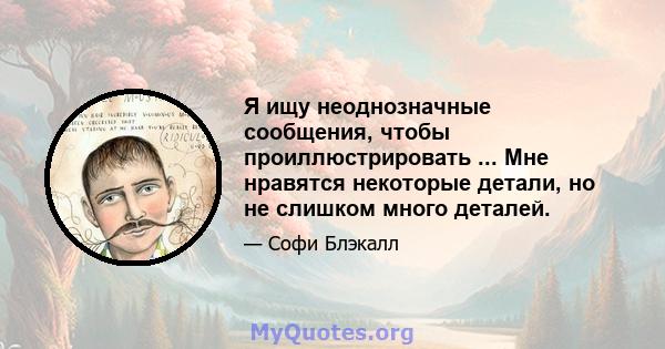 Я ищу неоднозначные сообщения, чтобы проиллюстрировать ... Мне нравятся некоторые детали, но не слишком много деталей.