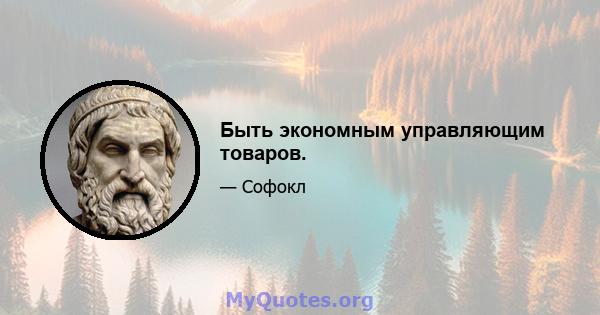 Быть экономным управляющим товаров.