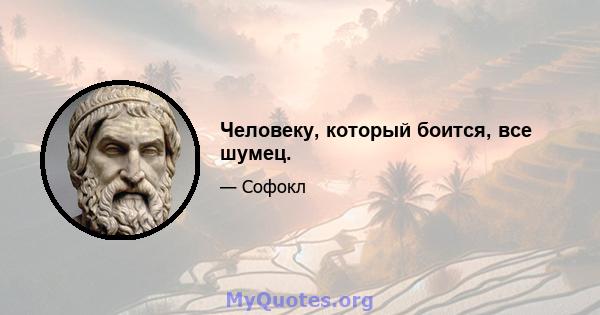 Человеку, который боится, все шумец.