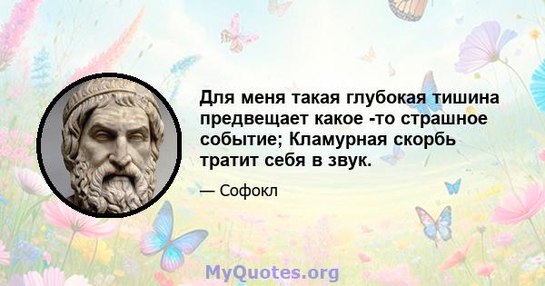 Для меня такая глубокая тишина предвещает какое -то страшное событие; Кламурная скорбь тратит себя в звук.