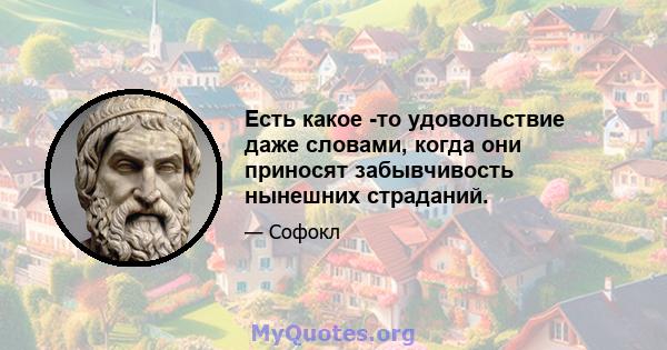 Есть какое -то удовольствие даже словами, когда они приносят забывчивость нынешних страданий.