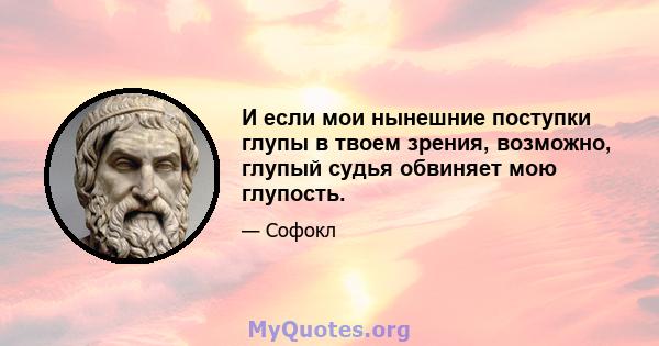 И если мои нынешние поступки глупы в твоем зрения, возможно, глупый судья обвиняет мою глупость.