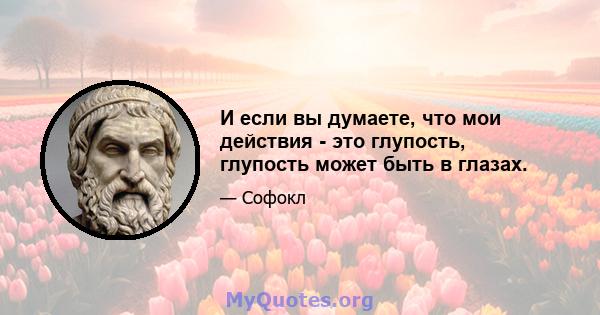 И если вы думаете, что мои действия - это глупость, глупость может быть в глазах.