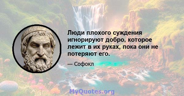 Люди плохого суждения игнорируют добро, которое лежит в их руках, пока они не потеряют его.