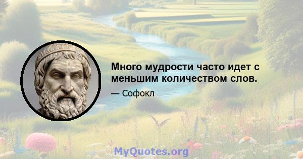 Много мудрости часто идет с меньшим количеством слов.