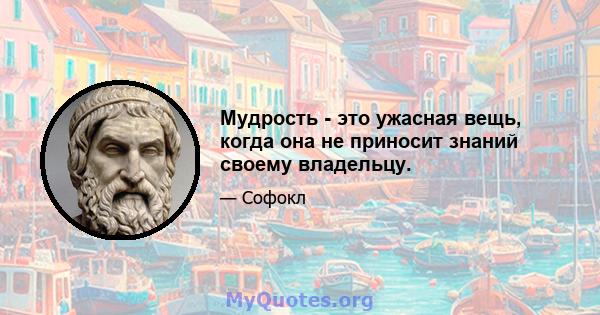 Мудрость - это ужасная вещь, когда она не приносит знаний своему владельцу.