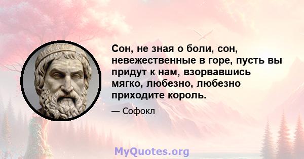 Сон, не зная о боли, сон, невежественные в горе, пусть вы придут к нам, взорвавшись мягко, любезно, любезно приходите король.