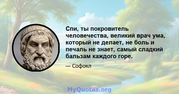 Спи, ты покровитель человечества, великий врач ума, который не делает, не боль и печаль не знает, самый сладкий бальзам каждого горе.