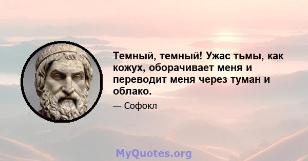 Темный, темный! Ужас тьмы, как кожух, оборачивает меня и переводит меня через туман и облако.