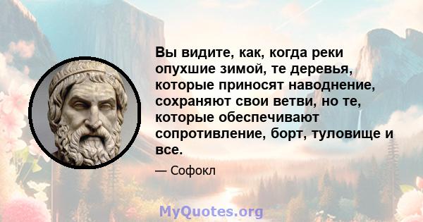 Вы видите, как, когда реки опухшие зимой, те деревья, которые приносят наводнение, сохраняют свои ветви, но те, которые обеспечивают сопротивление, борт, туловище и все.