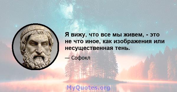 Я вижу, что все мы живем, - это не что иное, как изображения или несущественная тень.