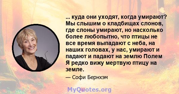 ... куда они уходят, когда умирают? Мы слышим о кладбищах слонов, где слоны умирают, но насколько более любопытно, что птицы не все время выпадают с неба, на наших головах, у нас, умирают и падают и падают на землю