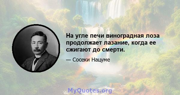 На угле печи виноградная лоза продолжает лазание, когда ее сжигают до смерти.