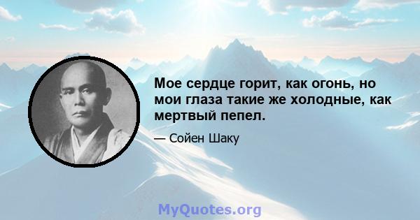 Мое сердце горит, как огонь, но мои глаза такие же холодные, как мертвый пепел.