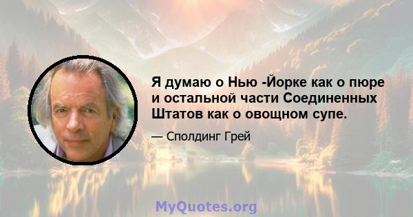 Я думаю о Нью -Йорке как о пюре и остальной части Соединенных Штатов как о овощном супе.