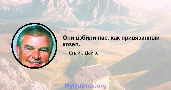 Они взбили нас, как привязанный козел.