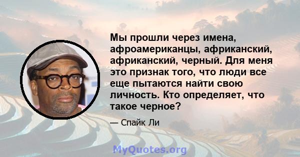 Мы прошли через имена, афроамериканцы, африканский, африканский, черный. Для меня это признак того, что люди все еще пытаются найти свою личность. Кто определяет, что такое черное?