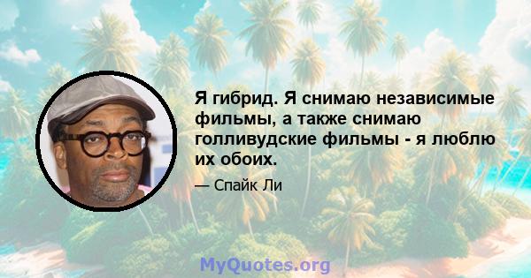 Я гибрид. Я снимаю независимые фильмы, а также снимаю голливудские фильмы - я люблю их обоих.