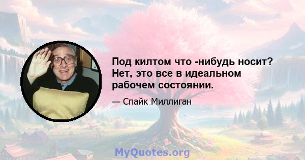 Под килтом что -нибудь носит? Нет, это все в идеальном рабочем состоянии.