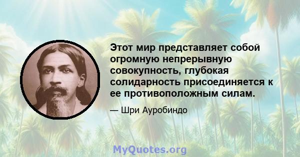 Этот мир представляет собой огромную непрерывную совокупность, глубокая солидарность присоединяется к ее противоположным силам.