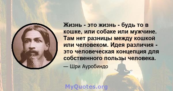 Жизнь - это жизнь - будь то в кошке, или собаке или мужчине. Там нет разницы между кошкой или человеком. Идея различия - это человеческая концепция для собственного пользы человека.