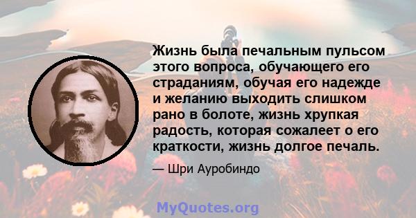 Жизнь была печальным пульсом этого вопроса, обучающего его страданиям, обучая его надежде и желанию выходить слишком рано в болоте, жизнь хрупкая радость, которая сожалеет о его краткости, жизнь долгое печаль.