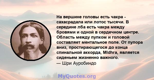 На вершине головы есть чакра - сахасрадала или лотос тысячи. В середине лба есть чакра между бровями и одной в сердечном центре. Область между пупком и головой составляет ментальное поле. От пупора вниз, простирающегося 