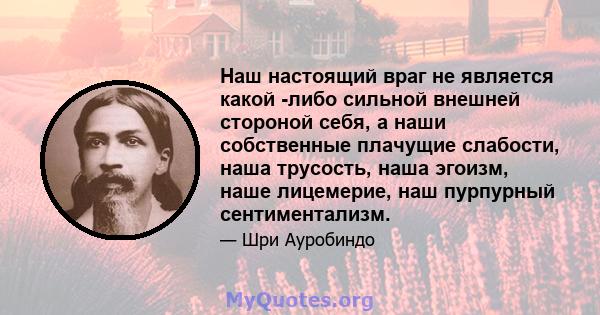 Наш настоящий враг не является какой -либо сильной внешней стороной себя, а наши собственные плачущие слабости, наша трусость, наша эгоизм, наше лицемерие, наш пурпурный сентиментализм.