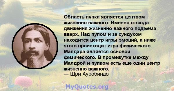 Область пупка является центром жизненно важного. Именно отсюда движения жизненно важного подъема вверх. Над пупом и за сундуком находится центр игры эмоций, а ниже этого происходит игра физического. Малдхра является