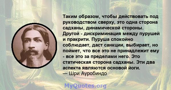 Таким образом, чтобы действовать под руководством сверху, это одна сторона садханы, динамической стороны. Другой - дискриминация между пурушей и пракрити. Пуруша спокойно соблюдает, даст санкции, выбирает, но поймет,