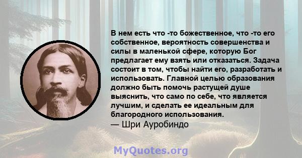 В нем есть что -то божественное, что -то его собственное, вероятность совершенства и силы в маленькой сфере, которую Бог предлагает ему взять или отказаться. Задача состоит в том, чтобы найти его, разработать и