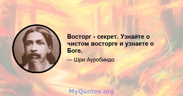 Восторг - секрет. Узнайте о чистом восторге и узнаете о Боге.