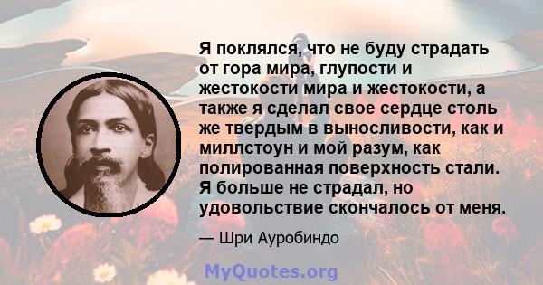 Я поклялся, что не буду страдать от гора мира, глупости и жестокости мира и жестокости, а также я сделал свое сердце столь же твердым в выносливости, как и миллстоун и мой разум, как полированная поверхность стали. Я