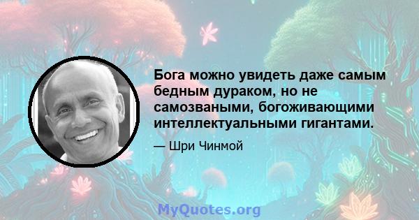 Бога можно увидеть даже самым бедным дураком, но не самозваными, богоживающими интеллектуальными гигантами.