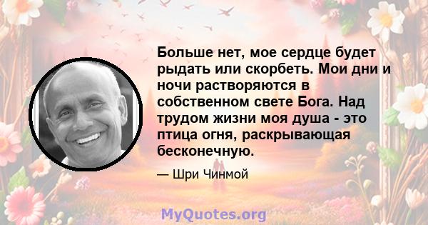 Больше нет, мое сердце будет рыдать или скорбеть. Мои дни и ночи растворяются в собственном свете Бога. Над трудом жизни моя душа - это птица огня, раскрывающая бесконечную.