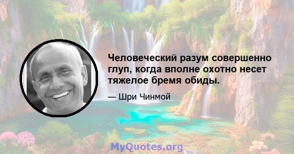 Человеческий разум совершенно глуп, когда вполне охотно несет тяжелое бремя обиды.