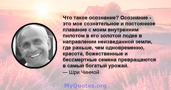 Что такое осознание? Осознание - это мое сознательное и постоянное плавание с моим внутренним пилотом в его золотой лодке в направлении неизведанной земли, где раньше, чем одновременно, красота, божественные и