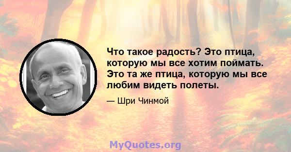 Что такое радость? Это птица, которую мы все хотим поймать. Это та же птица, которую мы все любим видеть полеты.