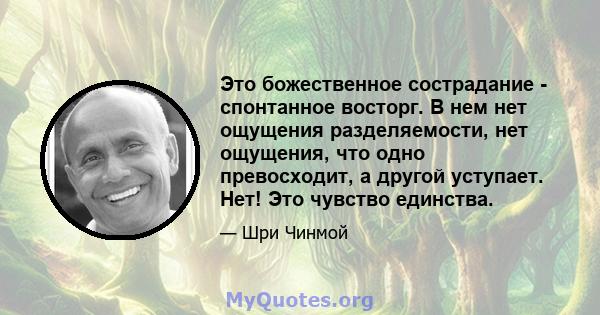 Это божественное сострадание - спонтанное восторг. В нем нет ощущения разделяемости, нет ощущения, что одно превосходит, а другой уступает. Нет! Это чувство единства.