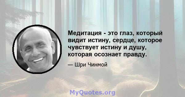 Медитация - это глаз, который видит истину, сердце, которое чувствует истину и душу, которая осознает правду.