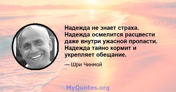 Надежда не знает страха. Надежда осмелится расцвести даже внутри ужасной пропасти. Надежда тайно кормит и укрепляет обещание.