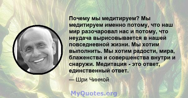 Почему мы медитируем? Мы медитируем именно потому, что наш мир разочаровал нас и потому, что неудача вырисовывается в нашей повседневной жизни. Мы хотим выполнить. Мы хотим радости, мира, блаженства и совершенства