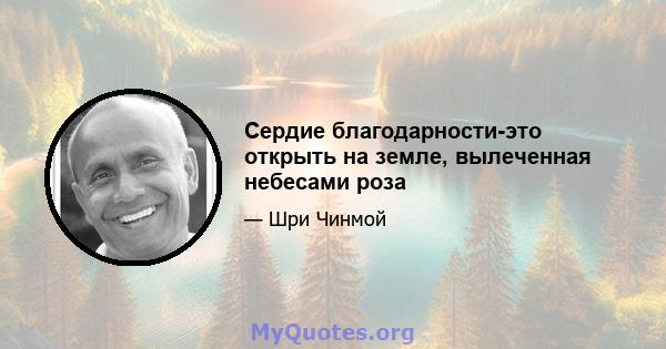 Сердие благодарности-это открыть на земле, вылеченная небесами роза