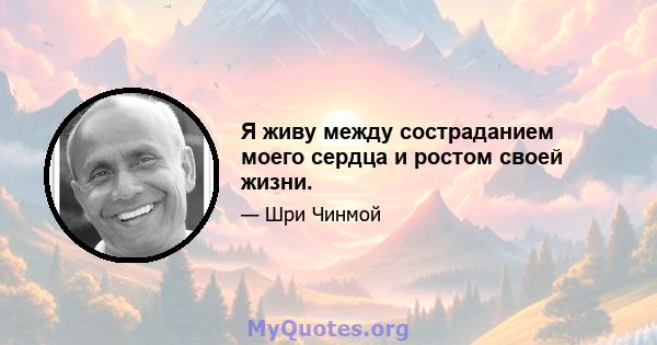 Я живу между состраданием моего сердца и ростом своей жизни.