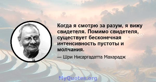 Когда я смотрю за разум, я вижу свидетеля. Помимо свидетеля, существует бесконечная интенсивность пустоты и молчания.