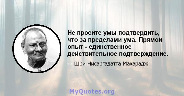 Не просите умы подтвердить, что за пределами ума. Прямой опыт - единственное действительное подтверждение.