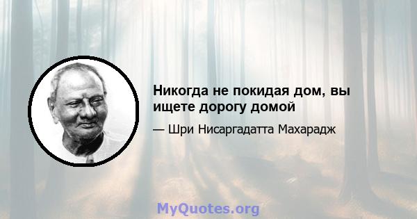 Никогда не покидая дом, вы ищете дорогу домой